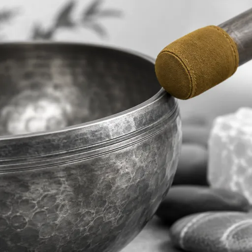 Inside the Sound Healing Boom: How America's Five-Star Spas Found Their Frequency