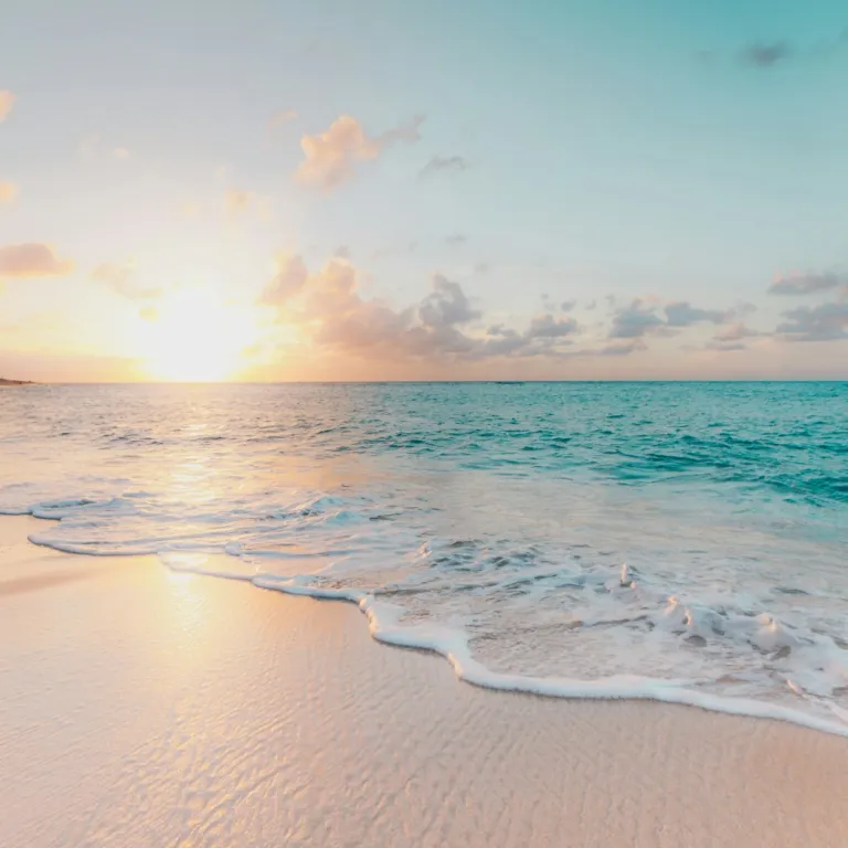 We compared 25 Florida beaches on 8 criteria, from sand quality to family-friendliness. Here are the best.