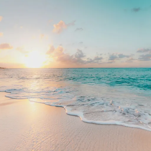 We compared 12 US winter sun destinations on weather, prices, and crowds. Here is where to escape the cold.