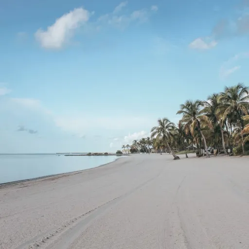 We mapped out 5 days across Florida. Here is the itinerary that covers the best of every coast.