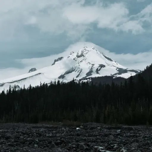 We mapped out 7 days in the Pacific Northwest. Here is the itinerary that makes the most of every stop.